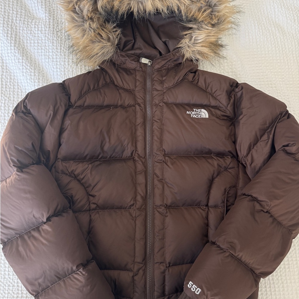 The North Face Chocolate Brown Jacket